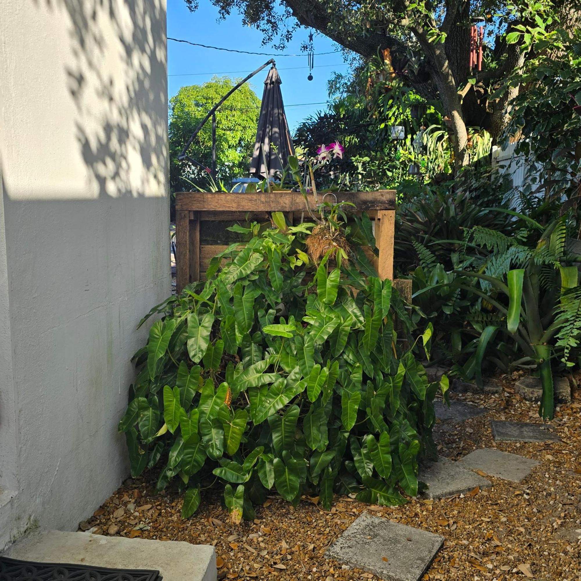 Suite Life At Chez Mercedes Miami Ngoại thất bức ảnh