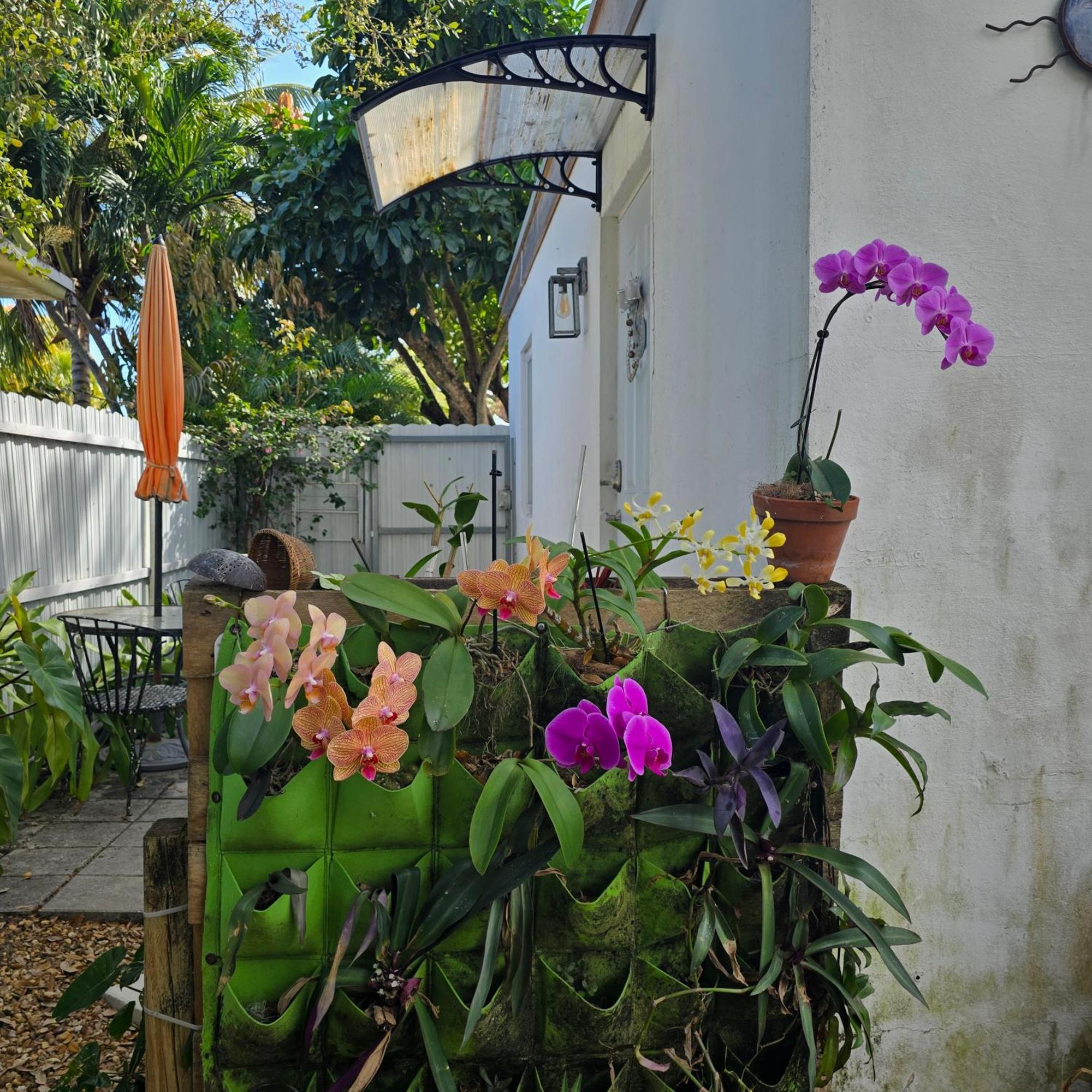 Suite Life At Chez Mercedes Miami Ngoại thất bức ảnh